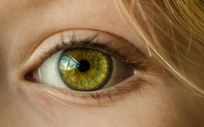 Les yeux verts, l’importance de la génétique