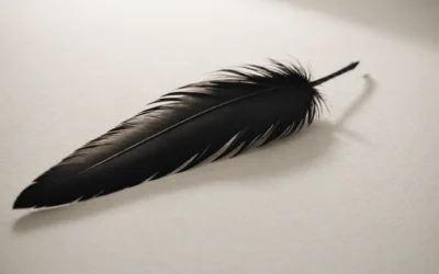 Les plumes noires : alliées secrètes du bien-être émotionnel et spirituel